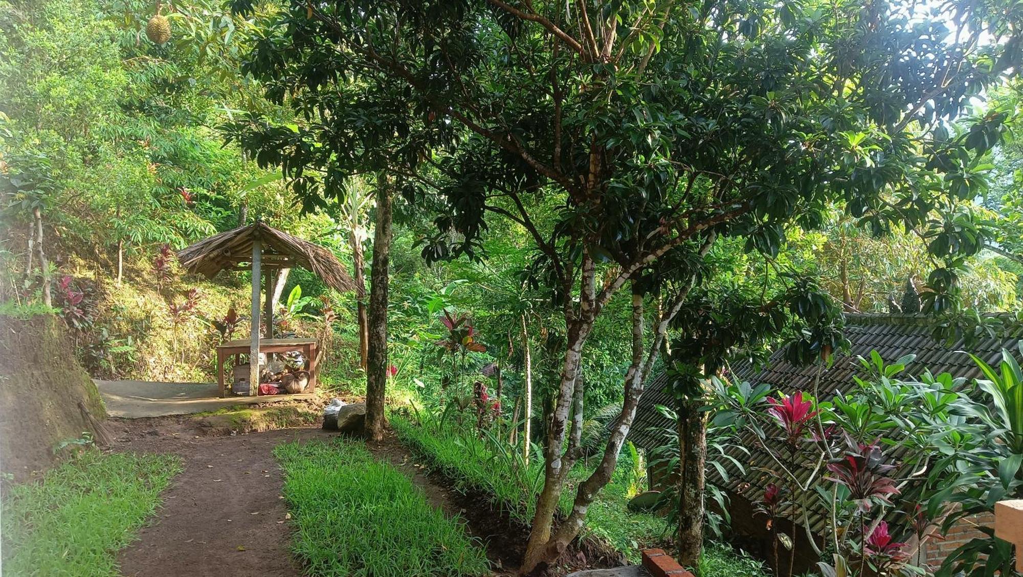 Buda'S Homestay Lemukih Buleleng  Ngoại thất bức ảnh